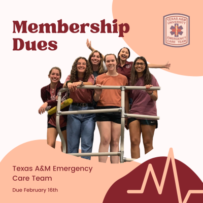 Membership Dues (Two Semesters)